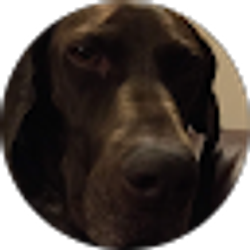 Profile photo of Connor Beckers