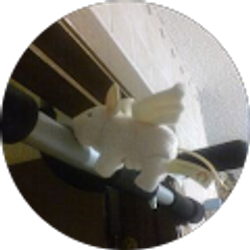 Profile photo of Gayle Finigan