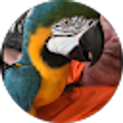 Profile photo of john bardo