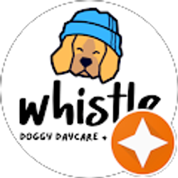 Profile photo of Mae Johnson