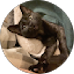 Profile photo of Hilary Franco