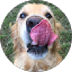 Profile photo of Charlotte McGee