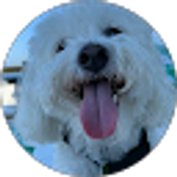 Profile photo of C. Westberry