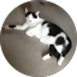 Profile photo of Jude Garner