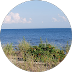 Profile photo of Rozalind Stachon