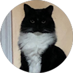 Profile photo of Ivan Mendoza