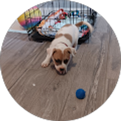 Profile photo of Nohemy Rodriguez