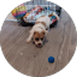 Profile photo of Nohemy Rodriguez