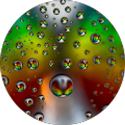 Profile photo of Kelly Schulte