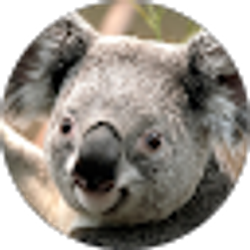 Profile photo of Tyler Slating