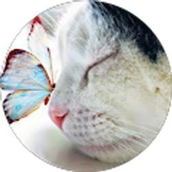 Profile photo of Pamela Thompson