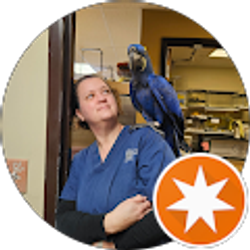 Profile photo of Lamor Gatenio