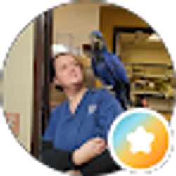 Profile photo of Lamor Gatenio