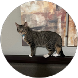 Profile photo of Carmelo Mendoza