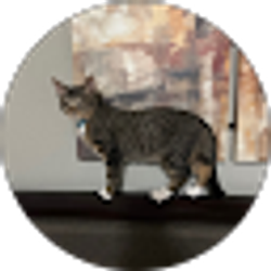 Profile photo of Carmelo Mendoza