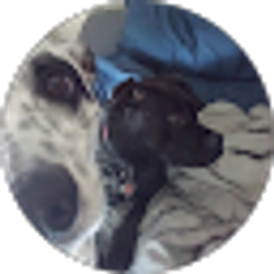 Profile photo of Nikolai