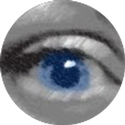 Profile photo of Lisa Alderfer