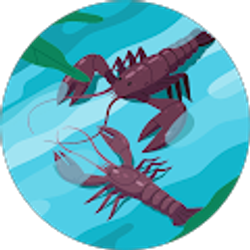 Profile photo of Mflame Mayon