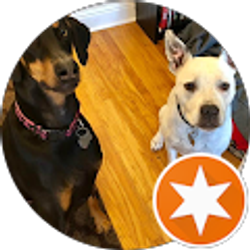 Profile photo of Neil Cetrangolo