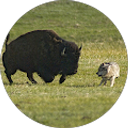 Profile photo of Wendy Holladay