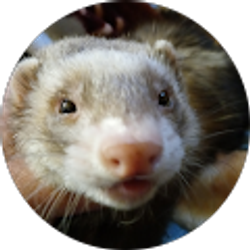 Profile photo of Doug Johnson