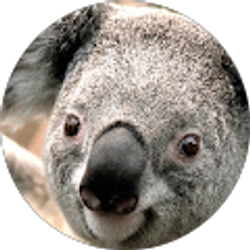 Profile photo of Jason Yim