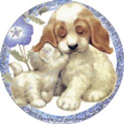 Profile photo of favor ౨ৎ