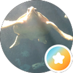 Profile photo of Mackenzie Biondo
