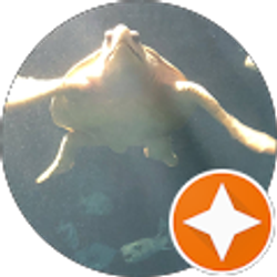 Profile photo of Mackenzie Biondo