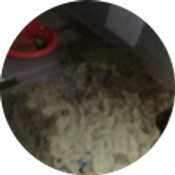 Profile photo of Dolores Banegas