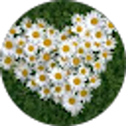 Profile photo of Daizy Goncalves