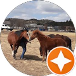 Profile photo of Cheryl Smith (cjsmith)