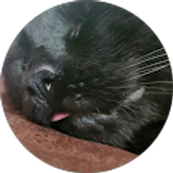 Profile photo of Josh