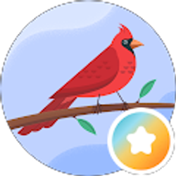 Profile photo of Rachel Roberts