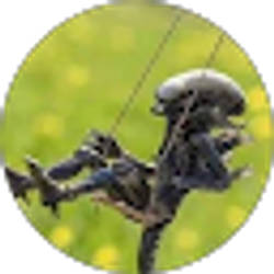 Profile photo of Subject076