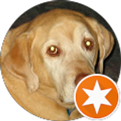 Profile photo of Linda Kenworthy