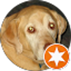 Profile photo of Linda Kenworthy