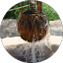 Profile photo of Jenny Martinez