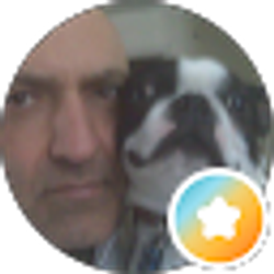 Profile photo of Kamran Zangeneh