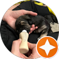 Profile photo of margaret zepeda