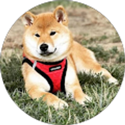 Profile photo of Chelsey Reece