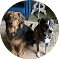 Profile photo of Stephanie Jomisko