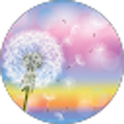 Profile photo of S Jackson