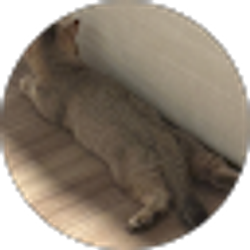 Profile photo of Djillali K