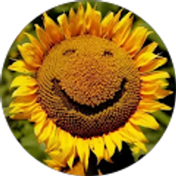 Profile photo of Erica