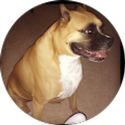 Profile photo of A.L. Lawrence