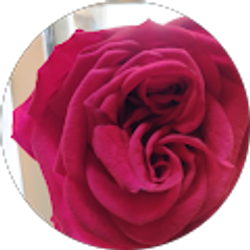 Profile photo of Laura Jonas