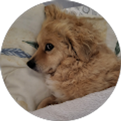 Profile photo of M L Ollero