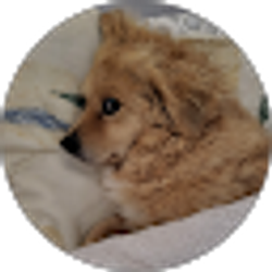 Profile photo of M L Ollero