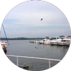 Profile photo of 홍미경